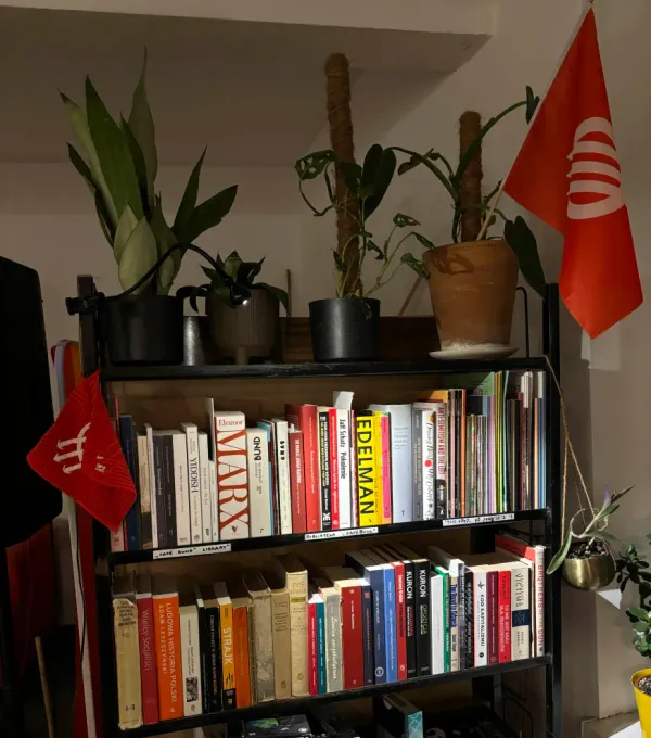 An image of two shelves of books on Marx, the Bund, and other related subjects, framed by Bundist flags.